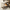 Promotion banner