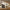 Ele One G3828A Espresso Machine-FR - Gemilai
